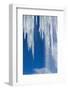 Icicles, Antarctic Peninsula-null-Framed Photographic Print