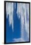 Icicles, Antarctic Peninsula-null-Framed Photographic Print