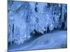Icicles Bizarre Frozen Water at Waterfall in Winter-null-Mounted Photographic Print
