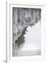 Icicles Formed-Louise Murray-Framed Photographic Print