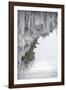 Icicles Formed-Louise Murray-Framed Photographic Print