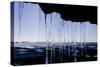 Icicles Hang 1-Charles Bowman-Stretched Canvas