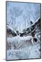 Icicles Hanging From Sandstone Cliffs On Shoreline-Thomas Lazar-Mounted Photographic Print