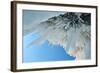 Icicles - Ice Stalactites Hanging From Cave Ceiling, Lake Baikal, Siberia, Russia, March-Olga Kamenskaya-Framed Photographic Print