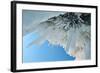 Icicles - Ice Stalactites Hanging From Cave Ceiling, Lake Baikal, Siberia, Russia, March-Olga Kamenskaya-Framed Photographic Print