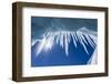 Icicles in Glacier Snow Cave, Antarctic Peninsula-null-Framed Photographic Print