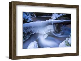 Icicles in the Stream Course in the Winter Wood, Triebtal, Vogtland, Saxony, Germany-Falk Hermann-Framed Photographic Print