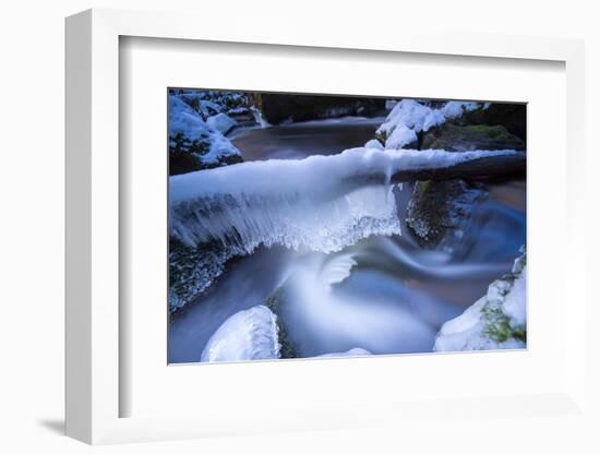 Icicles in the Stream Course in the Winter Wood, Triebtal, Vogtland, Saxony, Germany-Falk Hermann-Framed Photographic Print