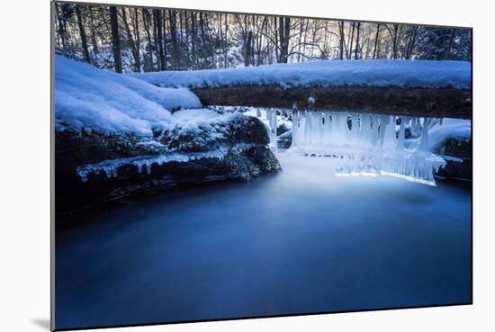 Icicles in the Stream Course in the Winter Wood, Triebtal, Vogtland, Saxony, Germany-Falk Hermann-Mounted Photographic Print