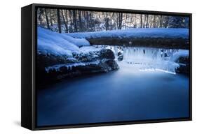 Icicles in the Stream Course in the Winter Wood, Triebtal, Vogtland, Saxony, Germany-Falk Hermann-Framed Stretched Canvas