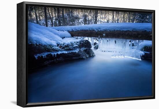 Icicles in the Stream Course in the Winter Wood, Triebtal, Vogtland, Saxony, Germany-Falk Hermann-Framed Photographic Print