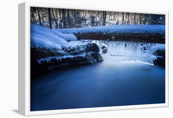 Icicles in the Stream Course in the Winter Wood, Triebtal, Vogtland, Saxony, Germany-Falk Hermann-Framed Photographic Print