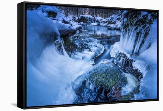 Icicles in the Stream Course in the Winter Wood, Triebtal, Vogtland, Saxony, Germany-Falk Hermann-Framed Stretched Canvas