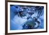 Icicles in the Stream Course in the Winter Wood, Triebtal, Vogtland, Saxony, Germany-Falk Hermann-Framed Photographic Print