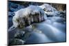 Icicles in the Stream Course in the Winter Wood, Triebtal, Vogtland, Saxony, Germany-Falk Hermann-Mounted Photographic Print