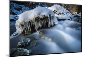 Icicles in the Stream Course in the Winter Wood, Triebtal, Vogtland, Saxony, Germany-Falk Hermann-Mounted Photographic Print