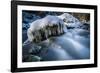 Icicles in the Stream Course in the Winter Wood, Triebtal, Vogtland, Saxony, Germany-Falk Hermann-Framed Photographic Print