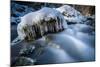 Icicles in the Stream Course in the Winter Wood, Triebtal, Vogtland, Saxony, Germany-Falk Hermann-Mounted Photographic Print