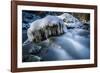 Icicles in the Stream Course in the Winter Wood, Triebtal, Vogtland, Saxony, Germany-Falk Hermann-Framed Photographic Print