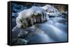 Icicles in the Stream Course in the Winter Wood, Triebtal, Vogtland, Saxony, Germany-Falk Hermann-Framed Stretched Canvas