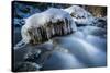 Icicles in the Stream Course in the Winter Wood, Triebtal, Vogtland, Saxony, Germany-Falk Hermann-Stretched Canvas