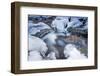 Icicles in the Stream Course in the Winter Wood-Falk Hermann-Framed Photographic Print