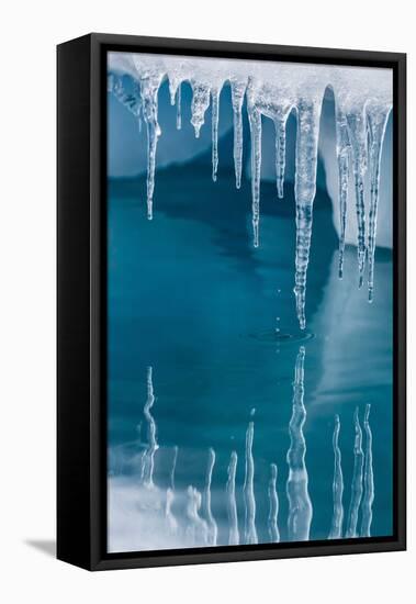 Icicles Mirrored in Calm Water from Ice Floating in the Neumayer Channel Near Wiencke Island-Michael Nolan-Framed Stretched Canvas