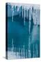 Icicles Mirrored in Calm Water from Ice Floating in the Neumayer Channel Near Wiencke Island-Michael Nolan-Stretched Canvas