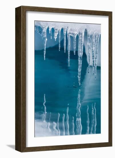 Icicles Mirrored in Calm Water from Ice Floating in the Neumayer Channel Near Wiencke Island-Michael Nolan-Framed Photographic Print