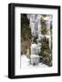 Icicles on Tussac Grass, Elsehul Bay, South Georgia, South Atlantic Ocean, Polar Regions-Michael Nolan-Framed Photographic Print