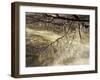 Icicles over Eagle Creek, Lake Tahoe, California, USA-Adam Jones-Framed Photographic Print