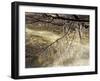 Icicles over Eagle Creek, Lake Tahoe, California, USA-Adam Jones-Framed Photographic Print