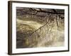 Icicles over Eagle Creek, Lake Tahoe, California, USA-Adam Jones-Framed Photographic Print