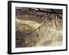 Icicles over Eagle Creek, Lake Tahoe, California, USA-Adam Jones-Framed Photographic Print