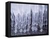 Icicles-null-Framed Stretched Canvas
