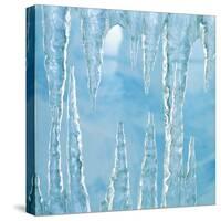 Icicles-Adrianna Williams-Stretched Canvas