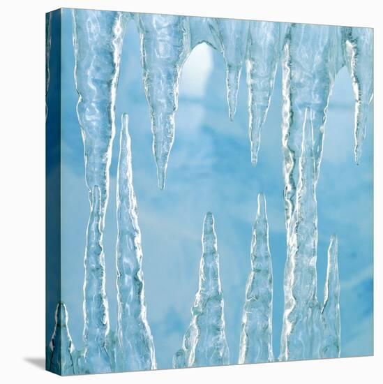 Icicles-Adrianna Williams-Stretched Canvas