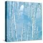 Icicles-Adrianna Williams-Stretched Canvas