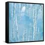 Icicles-Adrianna Williams-Framed Stretched Canvas