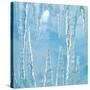 Icicles-Adrianna Williams-Stretched Canvas