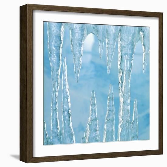 Icicles-Adrianna Williams-Framed Photographic Print