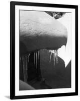 Icicles-null-Framed Photographic Print