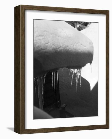 Icicles-null-Framed Photographic Print