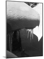 Icicles-null-Mounted Photographic Print