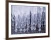 Icicles-null-Framed Photographic Print