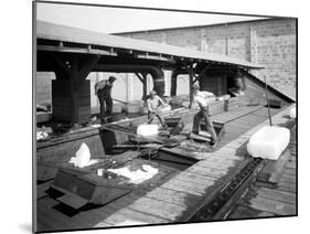 Icing Cars, Cold Storage Plant at Zillah, 1915-Asahel Curtis-Mounted Giclee Print