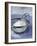 Icing Sugar in a Sieve-Véronique Leplat-Framed Photographic Print