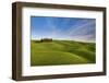 Iconic Cypresses in Torrenieri Country, Orcia Valley, Tuscany, Italy-ClickAlps-Framed Photographic Print