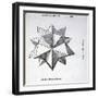 Icosaedron Elevatum Solidum, Illustration from 'Divina Proportione' by Luca Pacioli…-Leonardo da Vinci-Framed Giclee Print