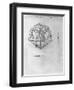 Icosahedron, from "De Divina Proportione" by Luca Pacioli, Published 1509, Venice-Leonardo da Vinci-Framed Giclee Print